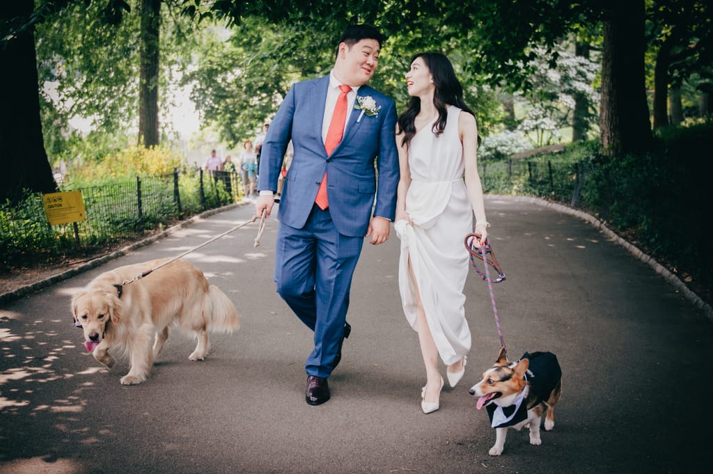 Tzuchin and Alan at their elopement, photograph 53 of 88