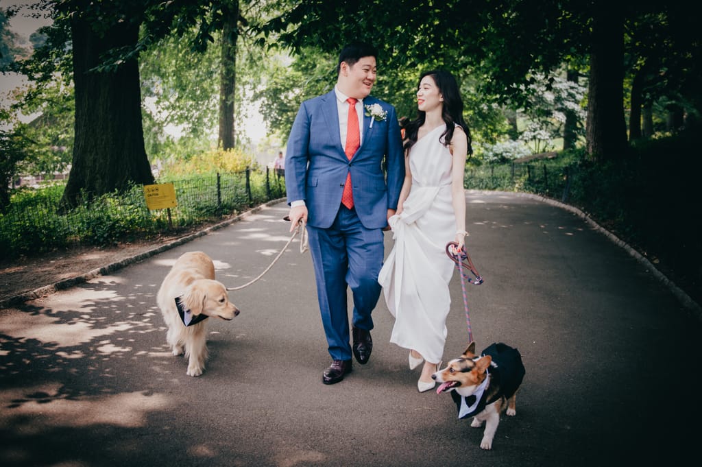 Tzuchin and Alan at their elopement, photograph 54 of 88