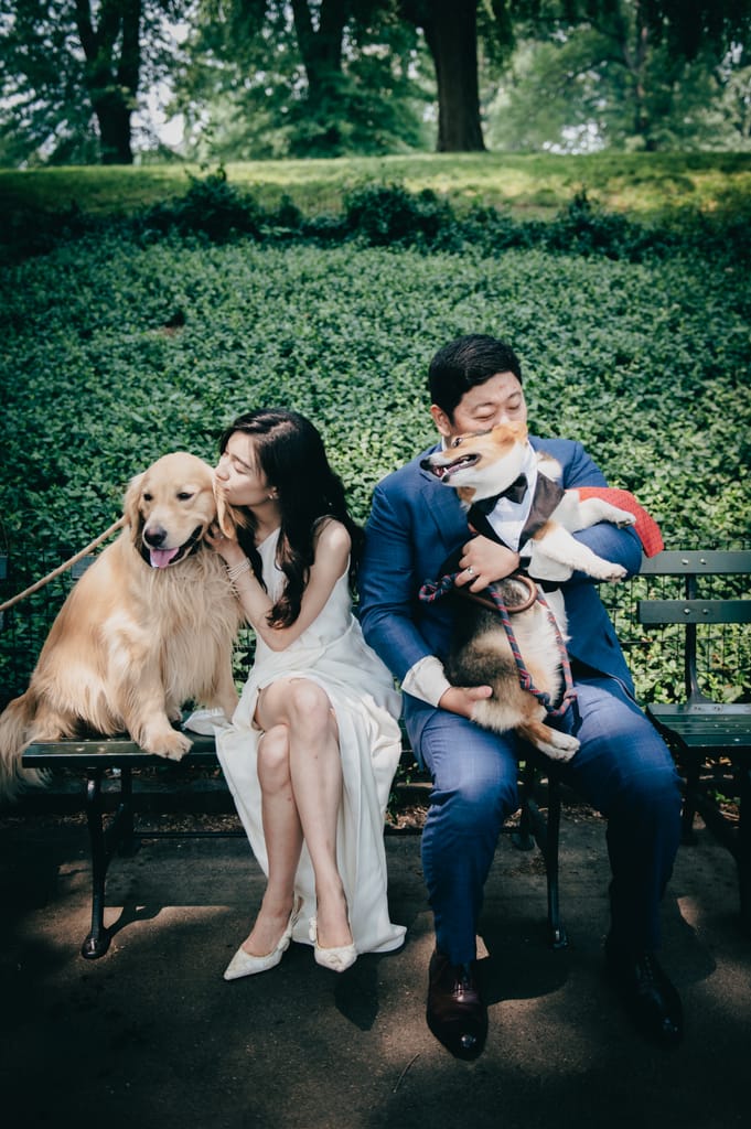 Tzuchin and Alan at their elopement, photograph 56 of 88