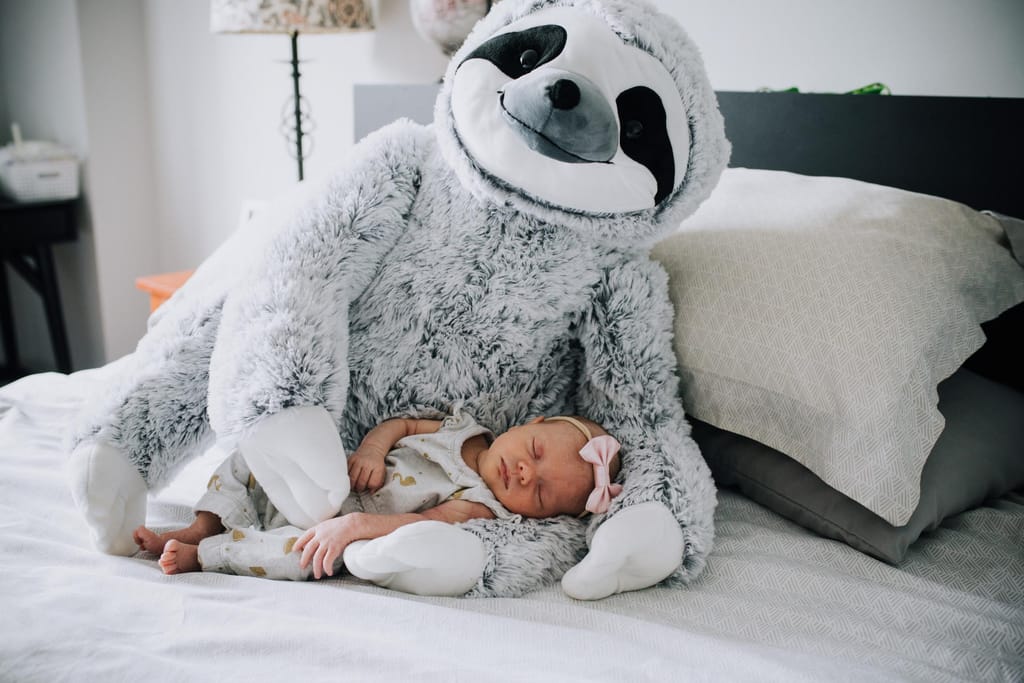 Persky Family Session, photograph 1 of 42