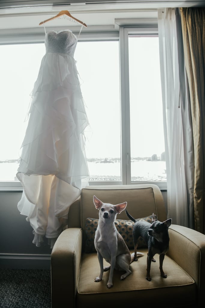 Sara and Kyle on their wedding day, photograph 2 of 130